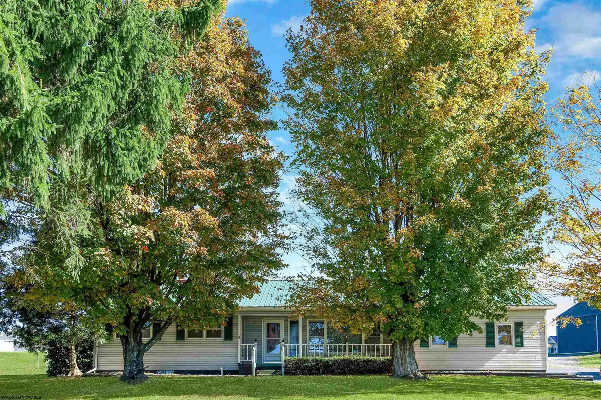 42 Cuzzart Road, Bruceton Mills, WV 26525 - #1