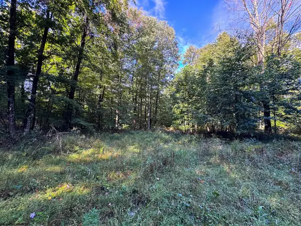 Lot 1 Woodmont Road, Helvetia, WV 26224